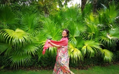 美女脱精光一清二楚图片